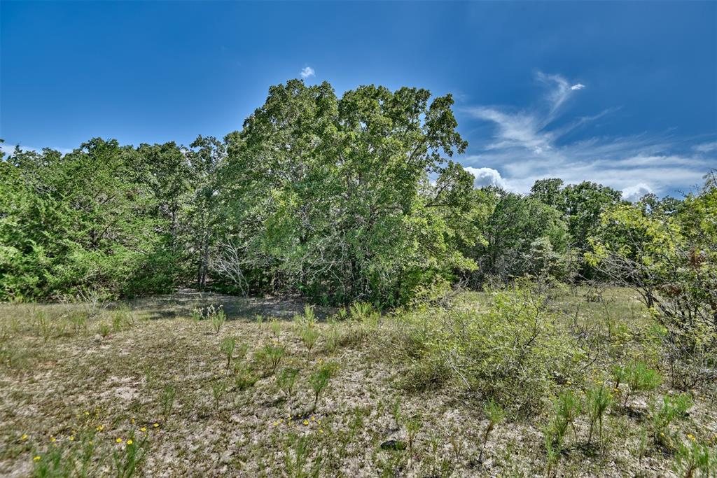 000 Makinson Road, West Point, Texas image 18