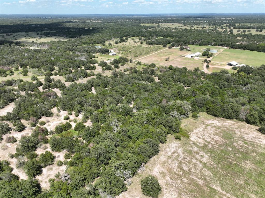 000 Makinson Road, West Point, Texas image 6