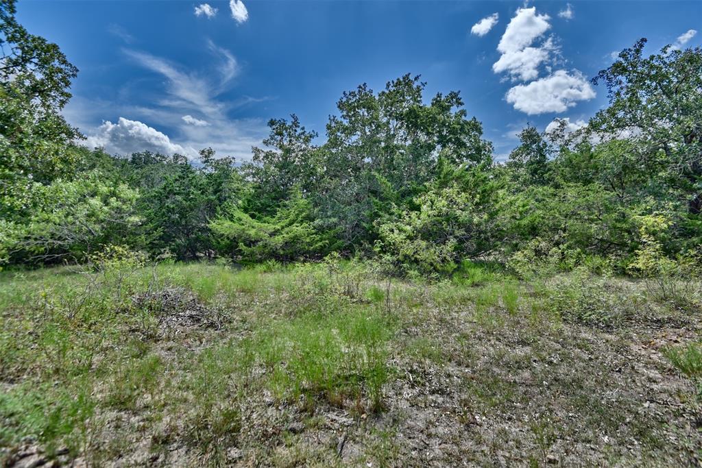 000 Makinson Road, West Point, Texas image 24