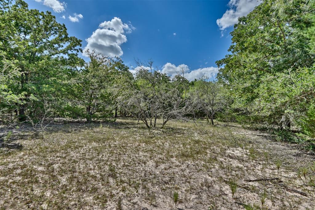 000 Makinson Road, West Point, Texas image 16