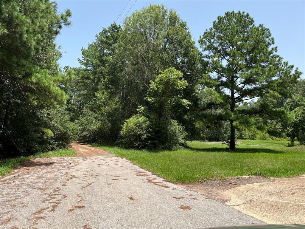 Magnolia, Texas 77354, United States, ,Land,Active,48637