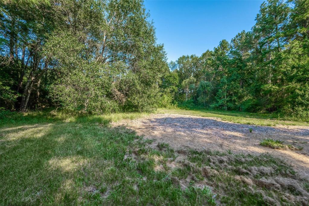 Magnolia, Texas 77354, United States, ,Land,Active,48637