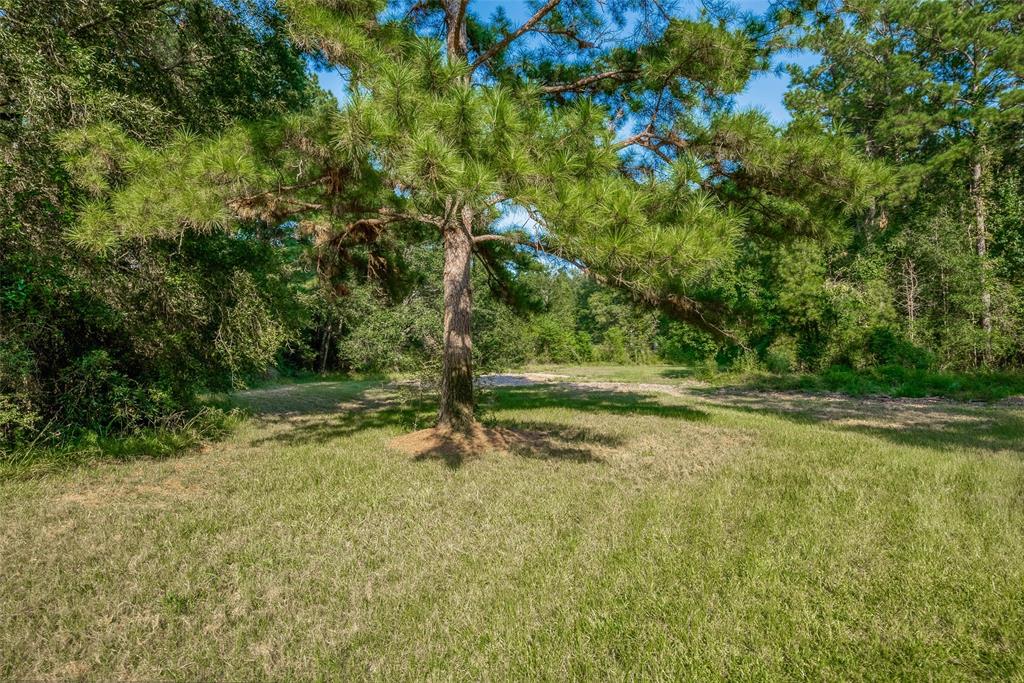 Magnolia, Texas 77354, United States, ,Land,Active,48637