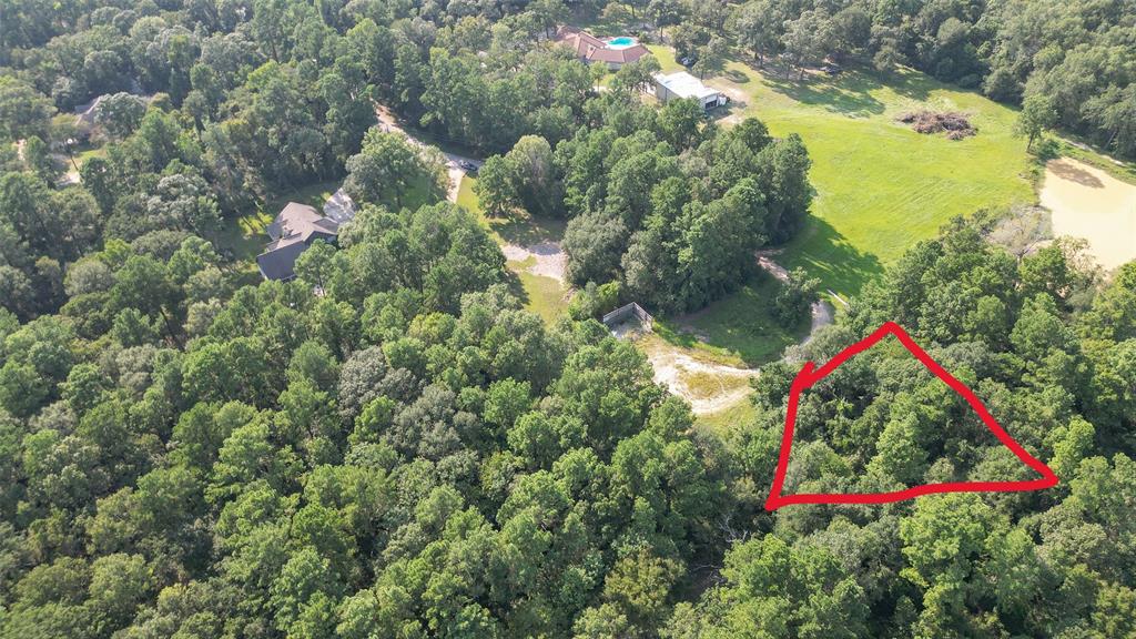 Magnolia, Texas 77354, United States, ,Land,Active,48637