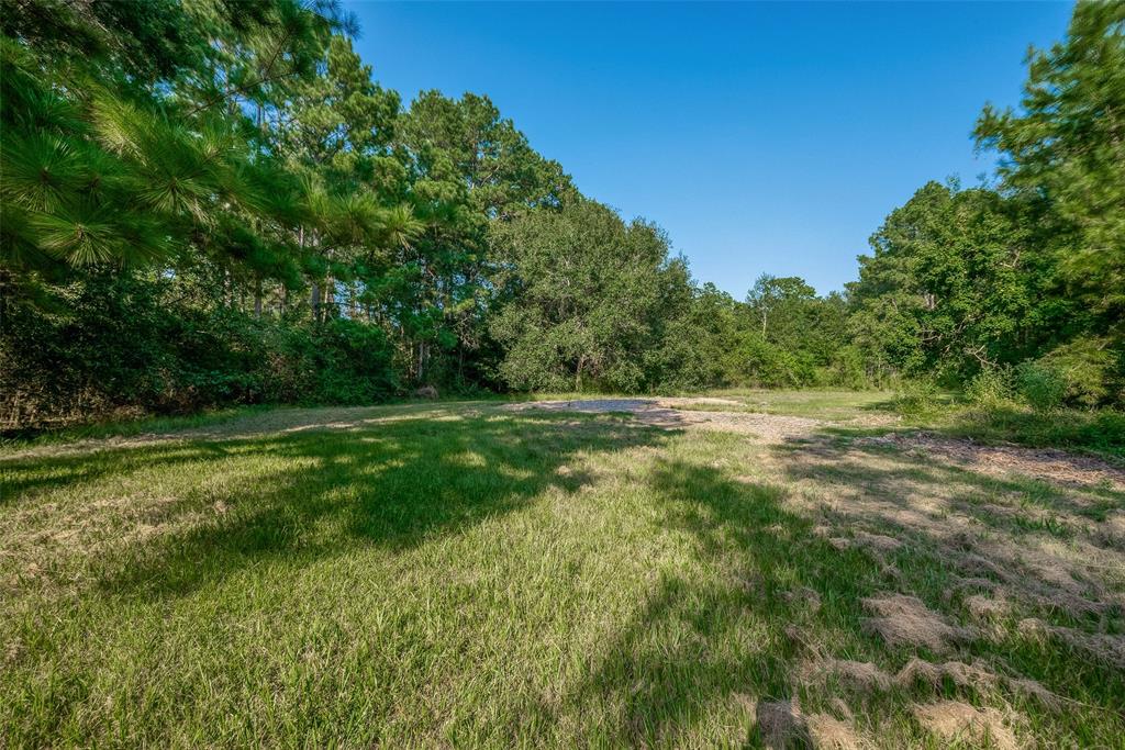 Magnolia, Texas 77354, United States, ,Land,Active,48637