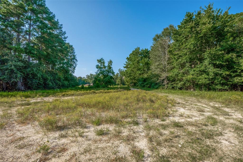 Magnolia, Texas 77354, United States, ,Land,Active,48637