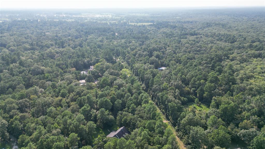 Magnolia, Texas 77354, United States, ,Land,Active,48637