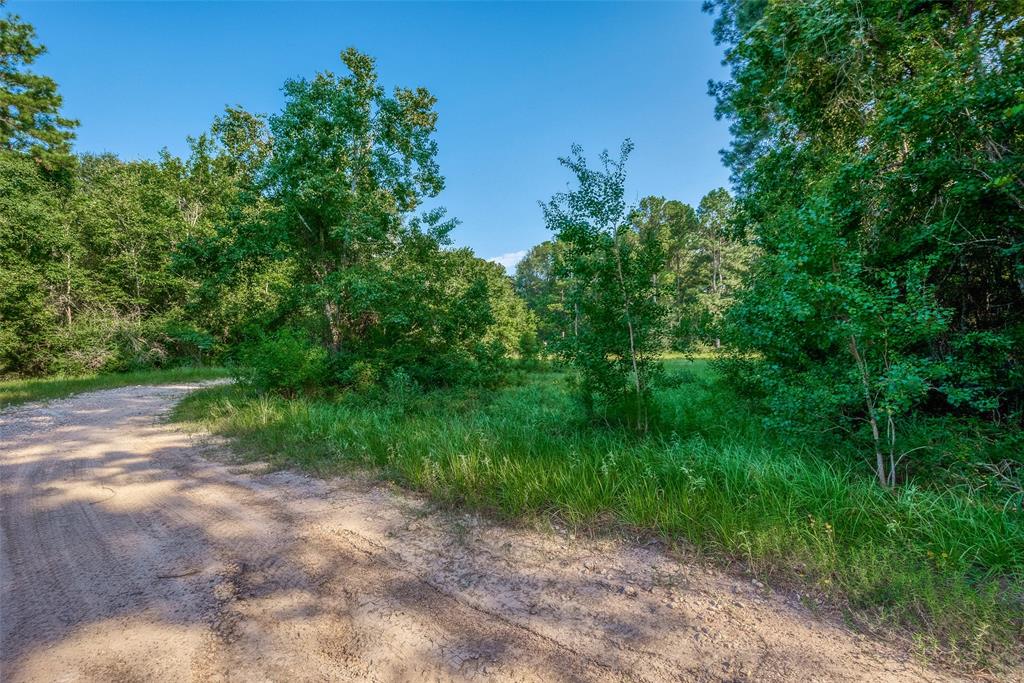 Magnolia, Texas 77354, United States, ,Land,Active,48637