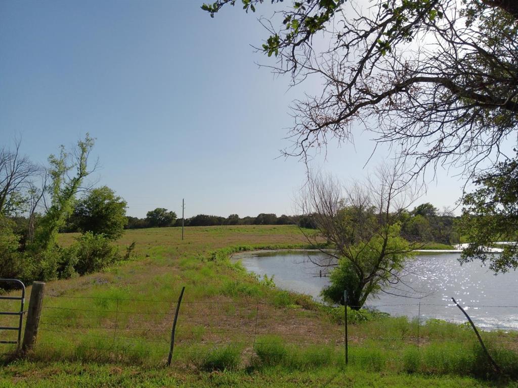 TBD +/- 24 Acres County Road 122, Hico, Texas image 5