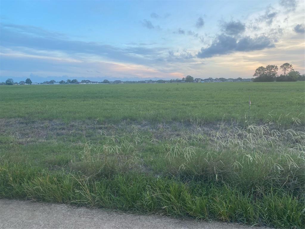 607 Longhorn Trail, Angleton, Texas image 6