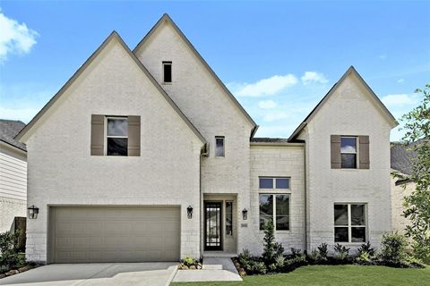 29006 Red Loop Drive New Caney TX 77357