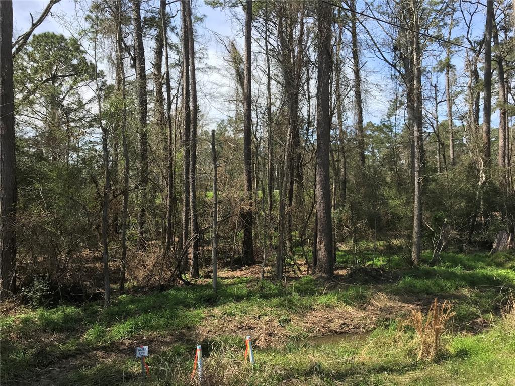 580 Parkview Drive, Onalaska, Texas image 5