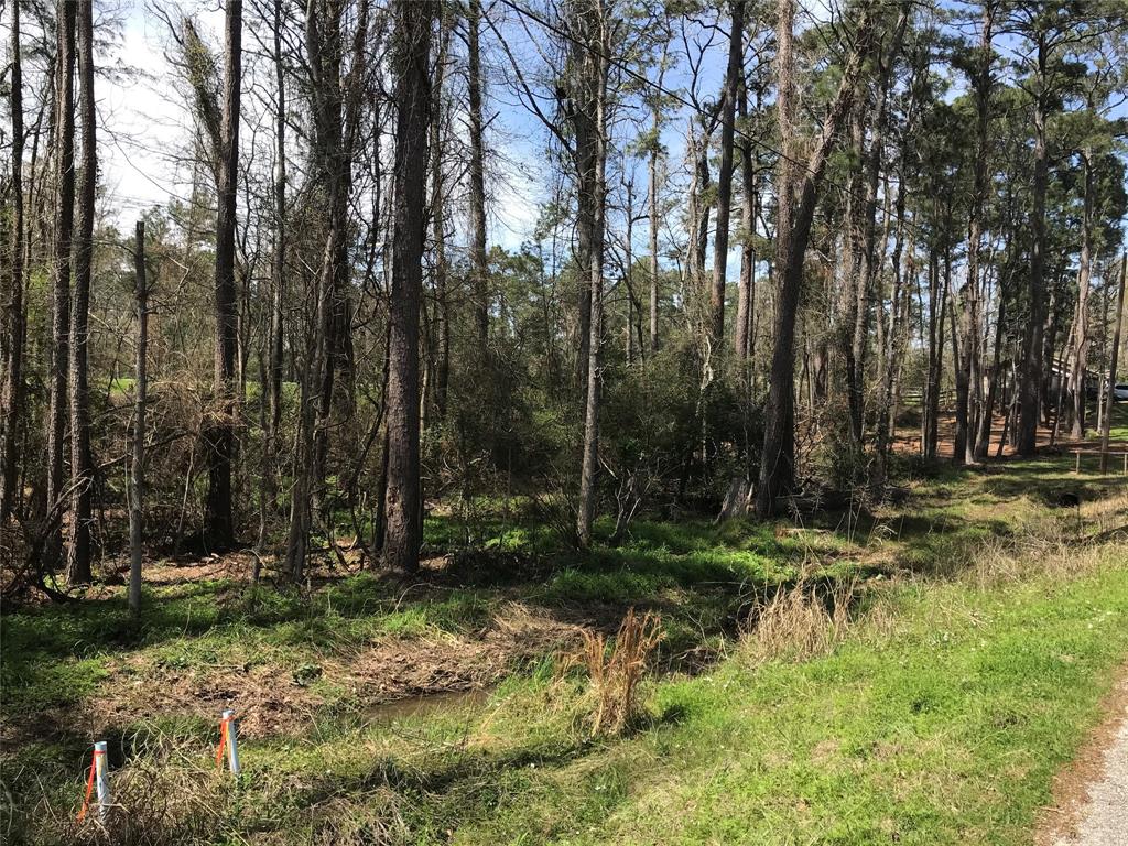 580 Parkview Drive, Onalaska, Texas image 2