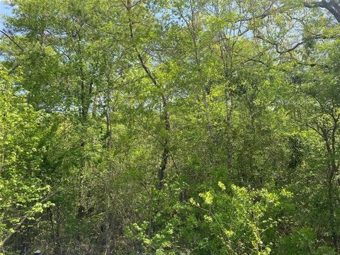 Photo of 0 Hollybrook Drive, Plantersville, TX 77363 (MLS # 41252211)