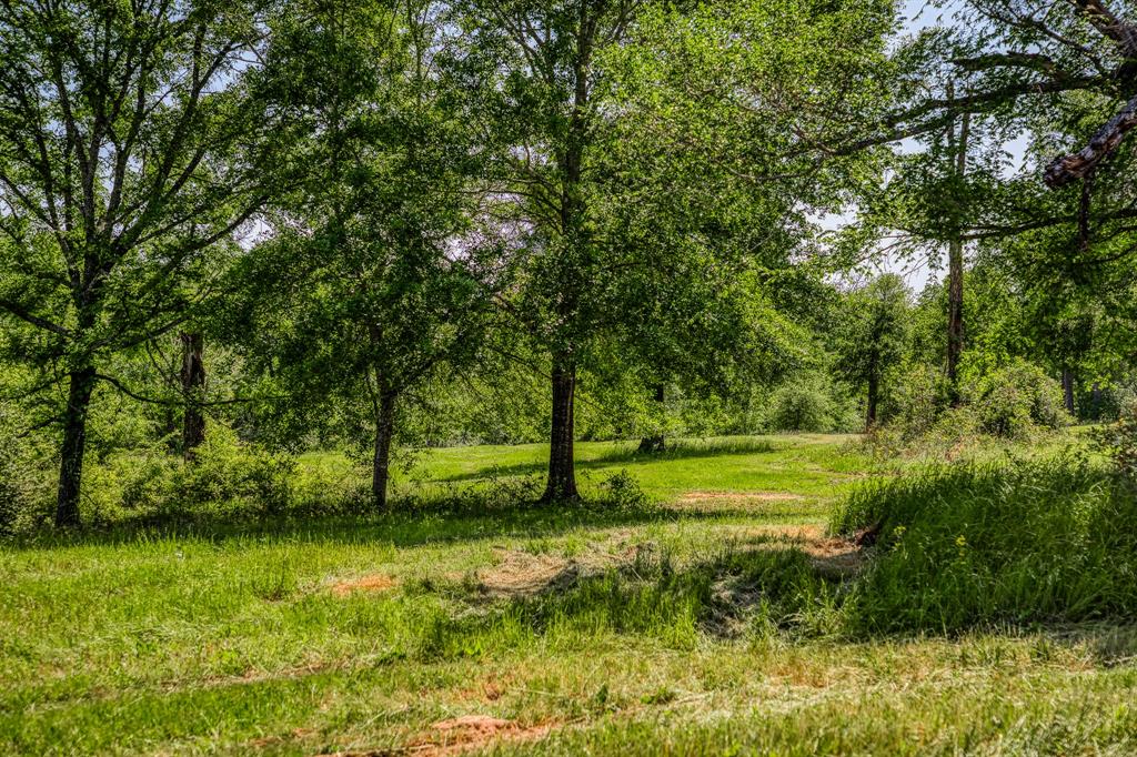 4921 Fm-390, Brenham, Texas image 8