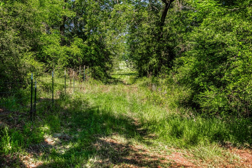 4921 Fm-390, Brenham, Texas image 6