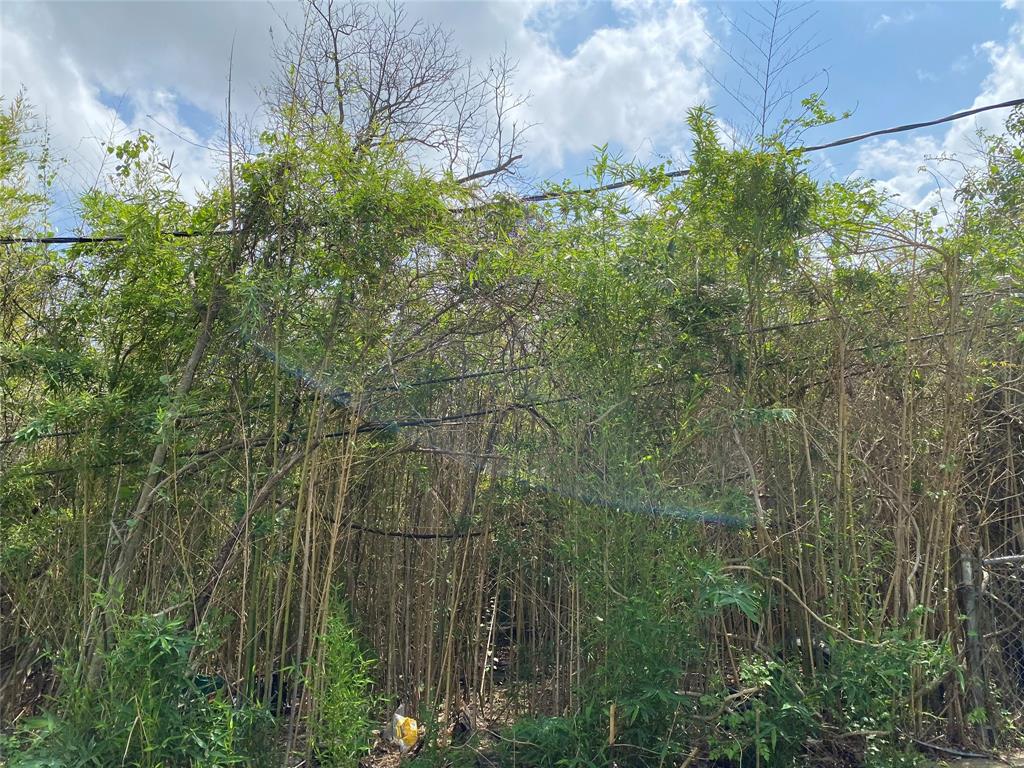 6 Briar Dale Court, Houston, Texas image 29