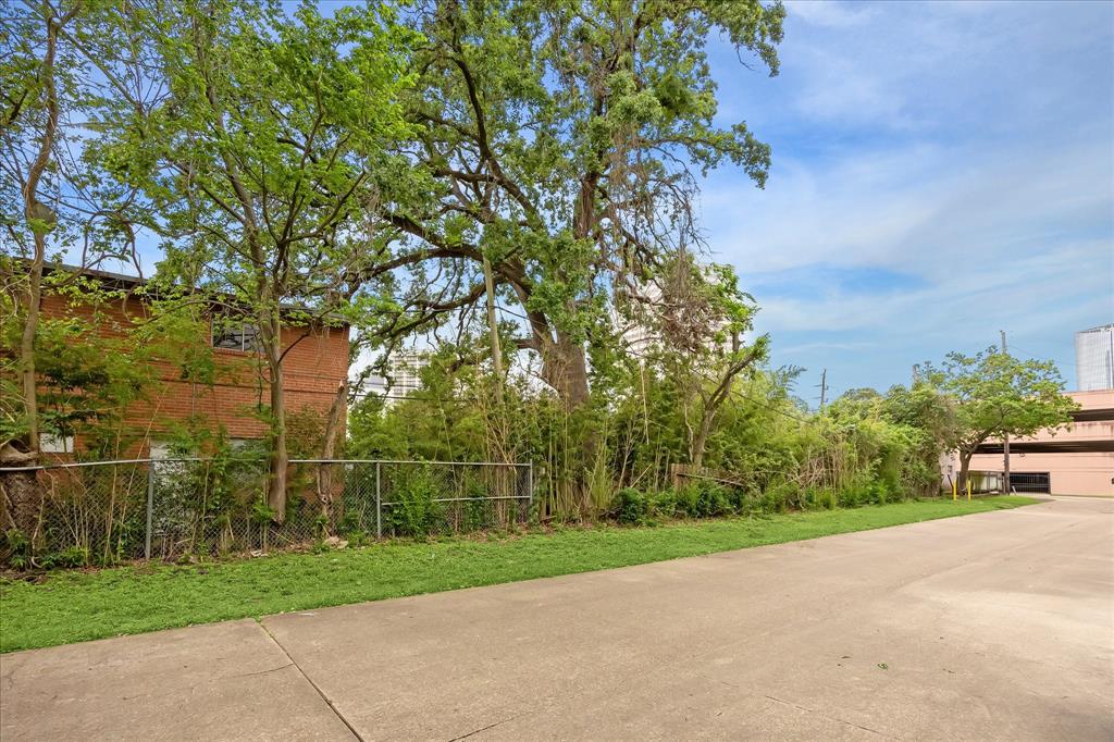 6 Briar Dale Court, Houston, Texas image 22