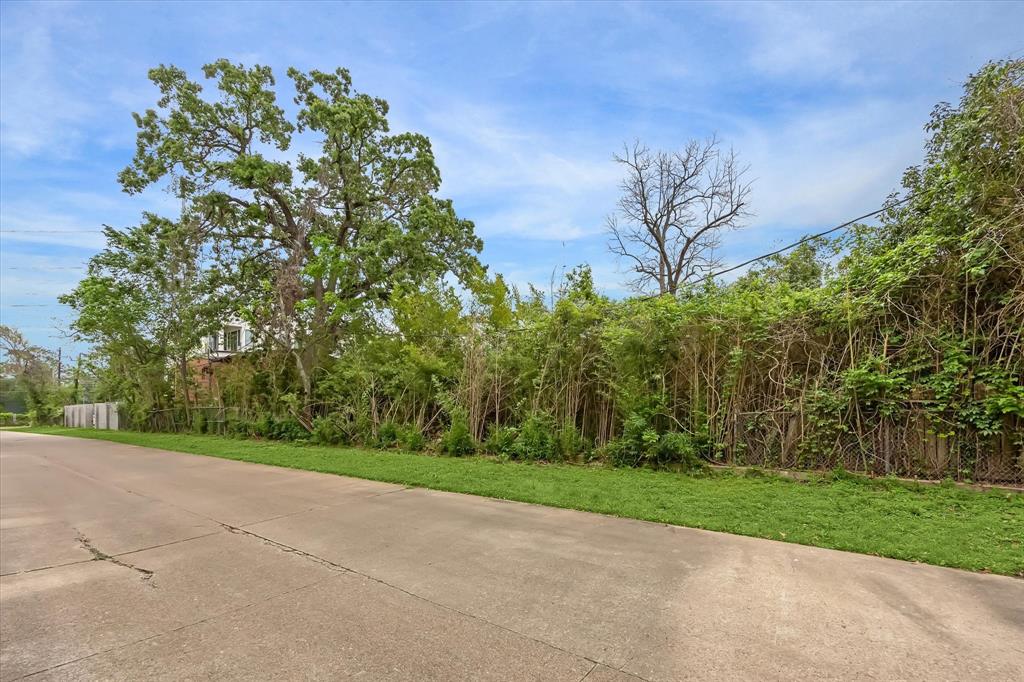 6 Briar Dale Court, Houston, Texas image 25