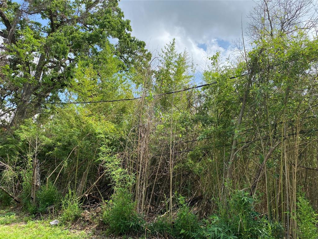 6 Briar Dale Court, Houston, Texas image 31