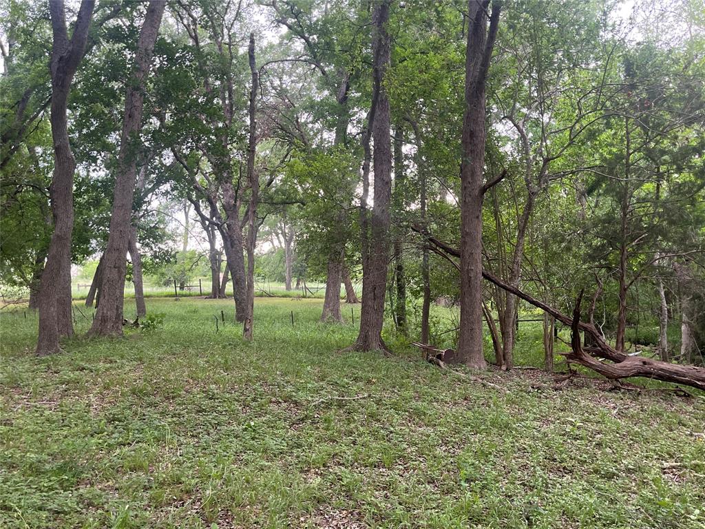 198 Riverside Drive, La Grange, Texas image 7