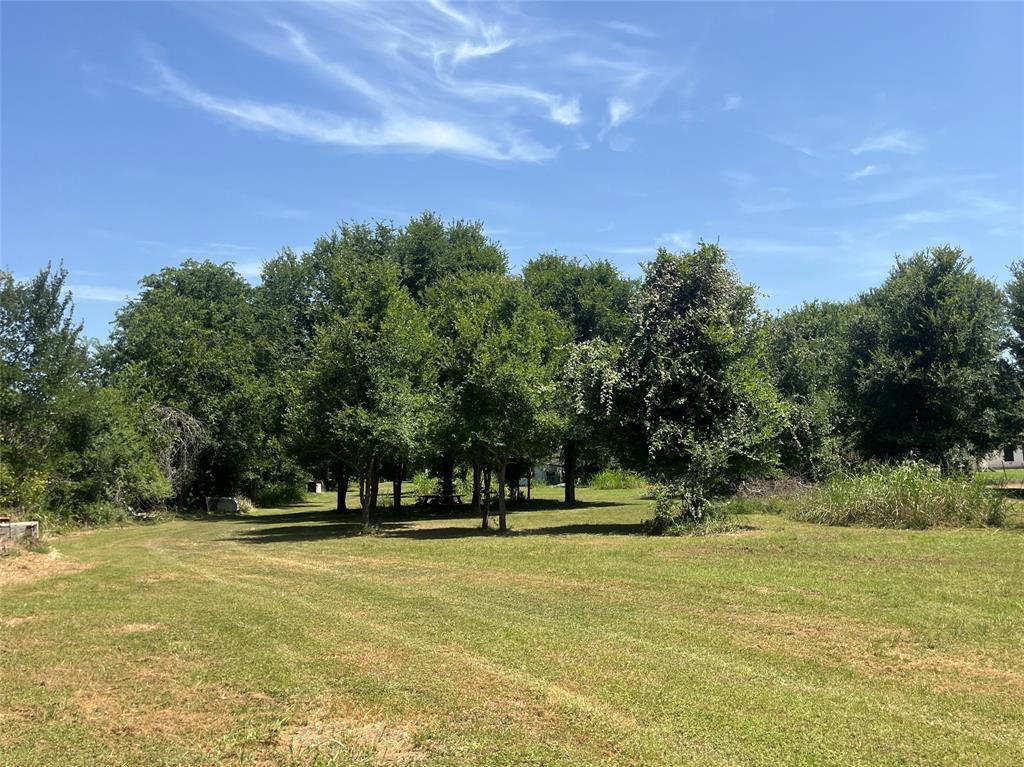 198 Riverside Drive, La Grange, Texas image 3