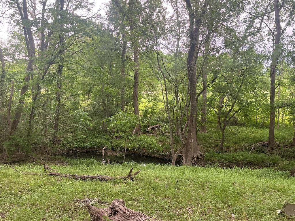 198 Riverside Drive, La Grange, Texas image 8