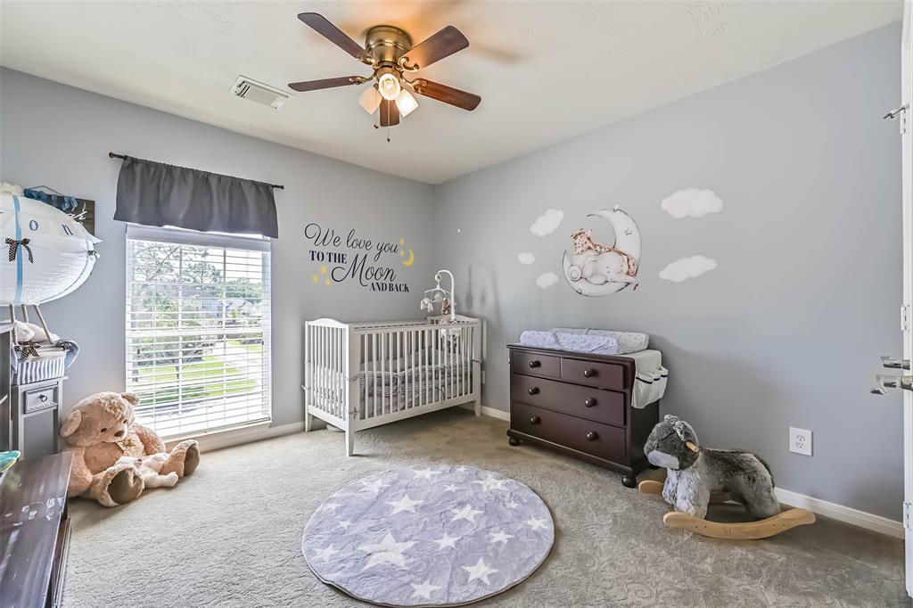 308 Willowood Drive, League City, Texas image 30