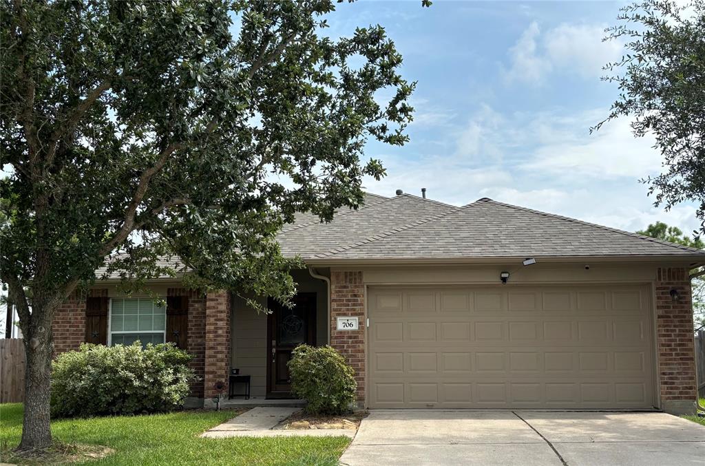 706 Silver Reef Lane