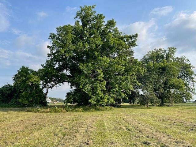 178 Horse Shoe Trail, Angleton, Texas image 6