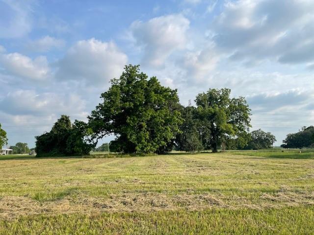 178 Horse Shoe Trail, Angleton, Texas image 1