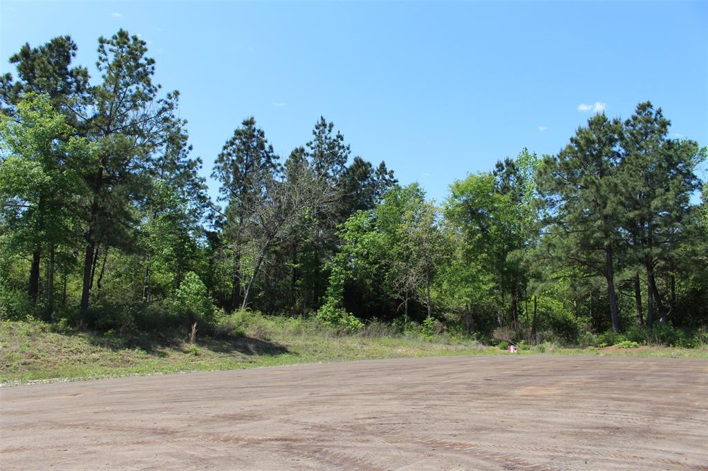 000 Pr 1315, Centerville, Texas image 7