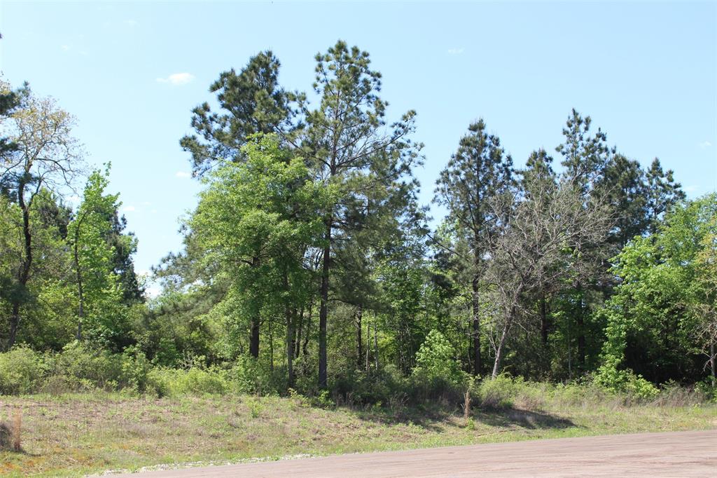 000 Pr 1315, Centerville, Texas image 13