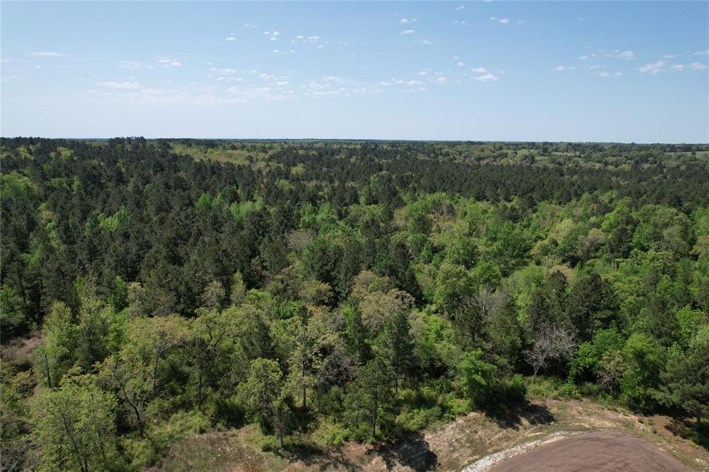 000 Pr 1315, Centerville, Texas image 27