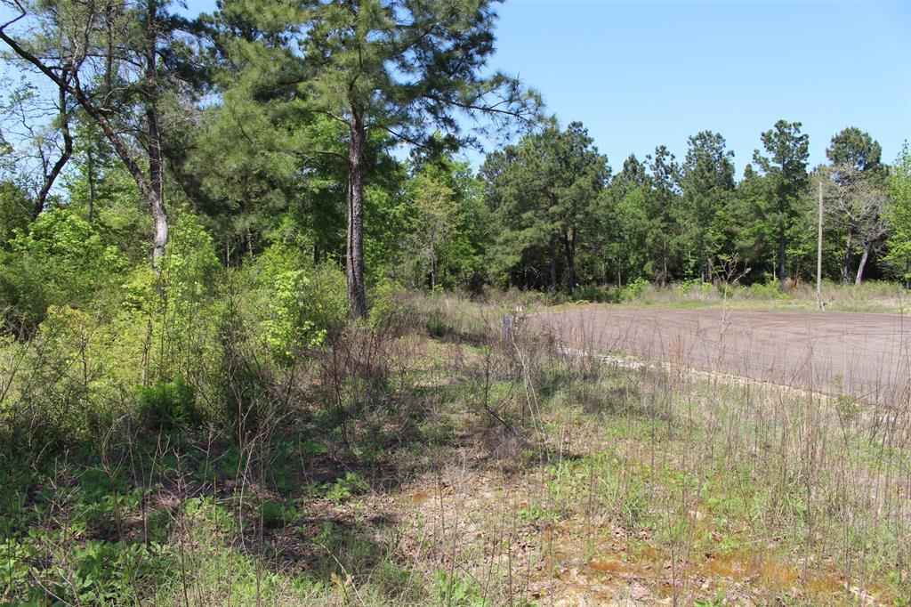 000 Pr 1315, Centerville, Texas image 21