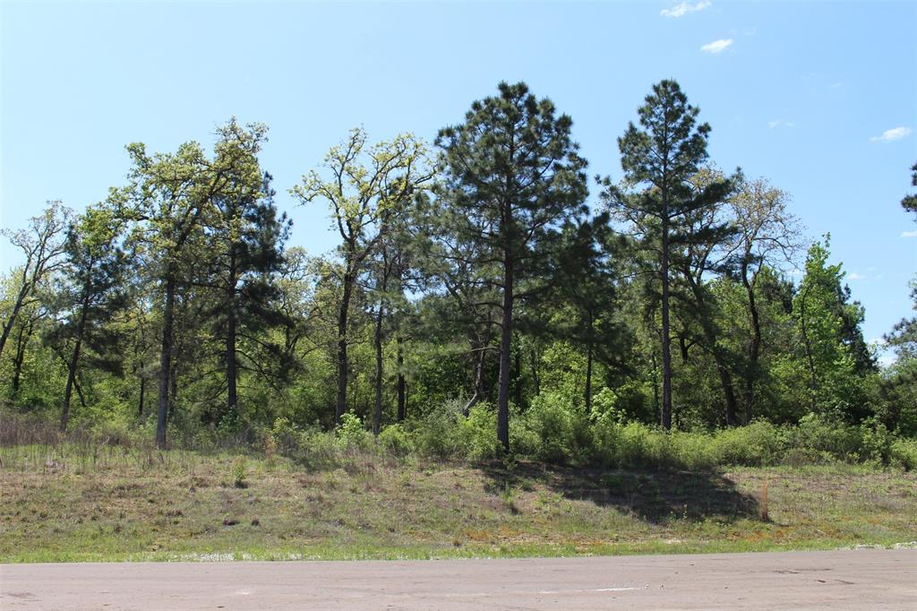 000 Pr 1315, Centerville, Texas image 9