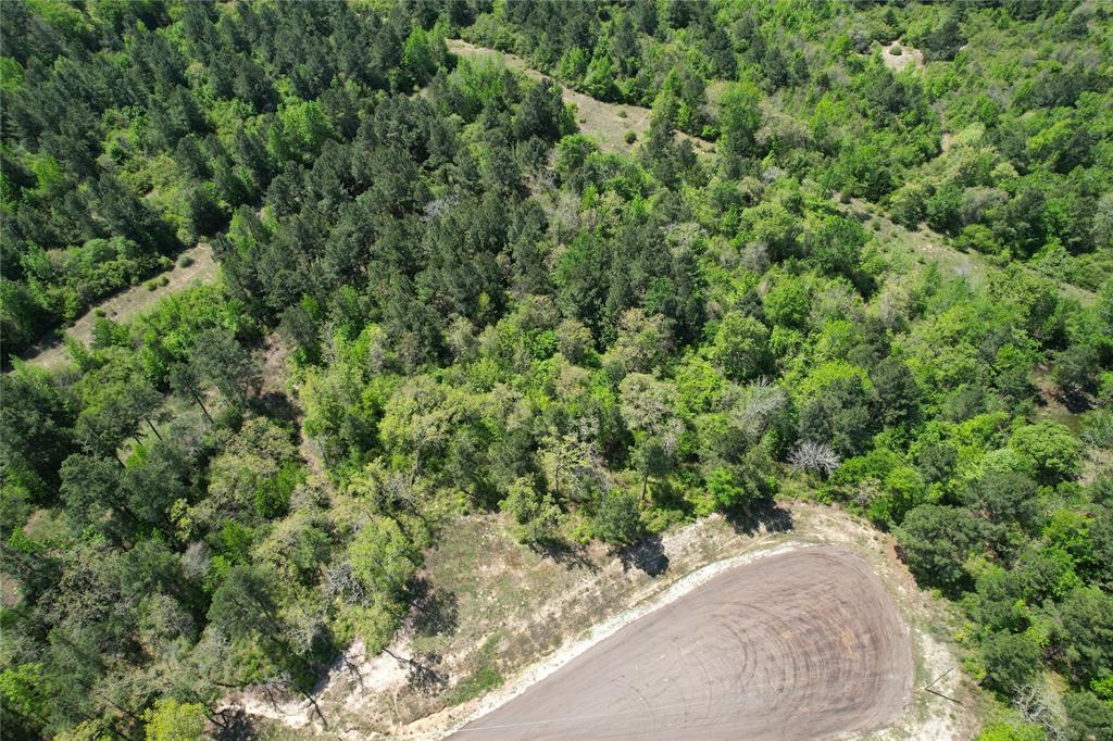 000 Pr 1315, Centerville, Texas image 26