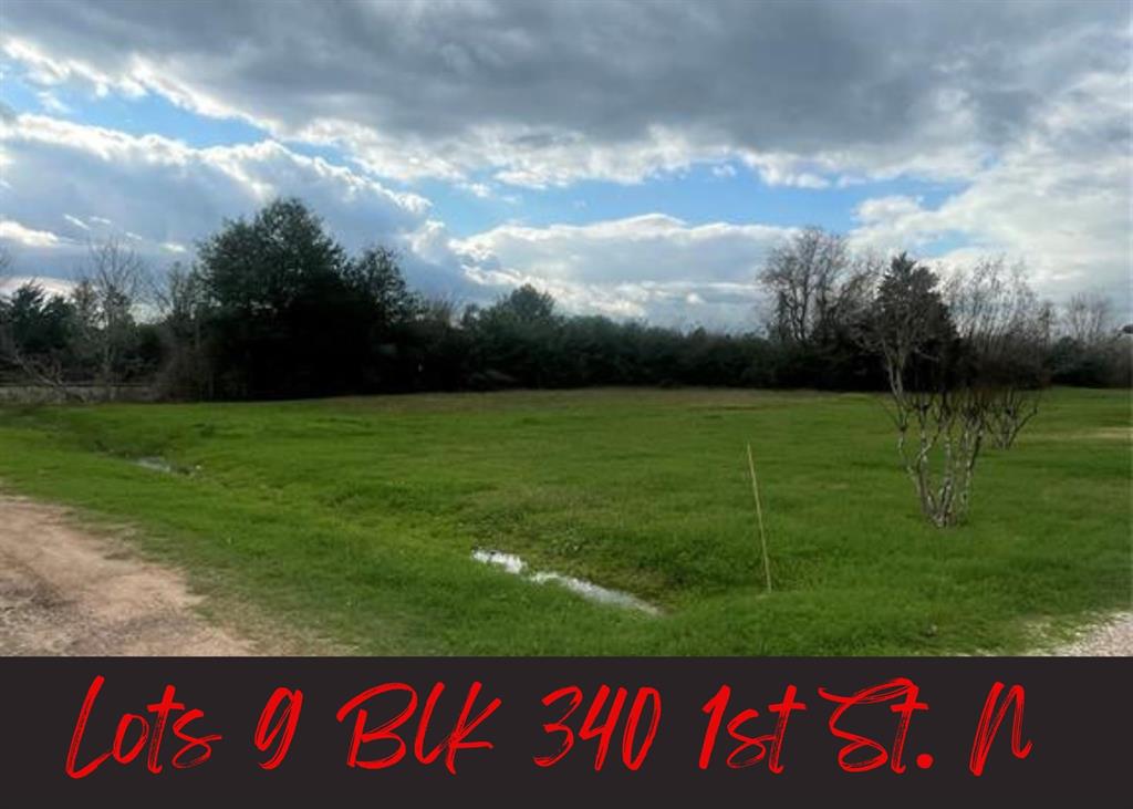 LOT 9 BLK 340 1st Street, Hempstead, Texas image 1