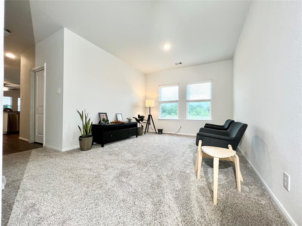 17702 Brahman Horn Court, Hockley, Texas image 6