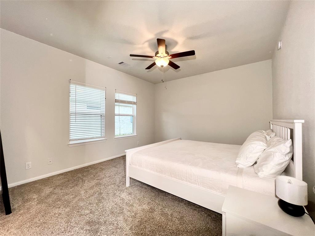 17702 Brahman Horn Court, Hockley, Texas image 10