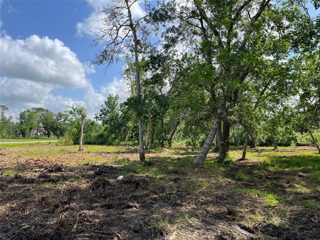 32534 Bayou Bend, Richwood, Texas image 4