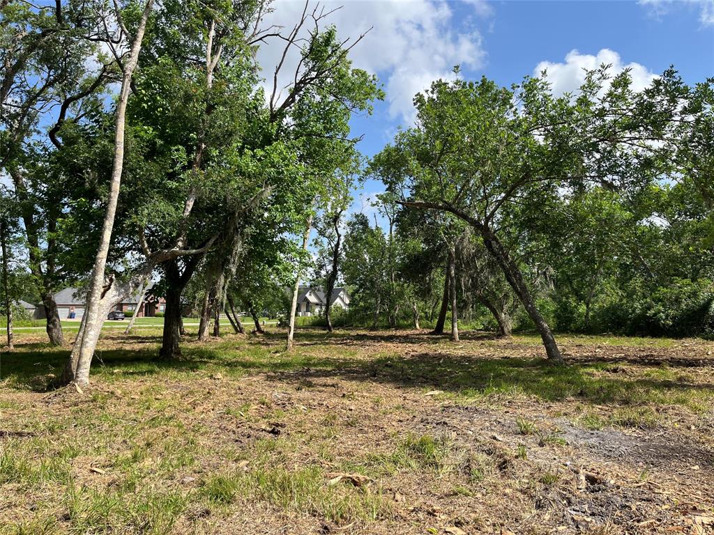 32534 Bayou Bend, Richwood, Texas image 16