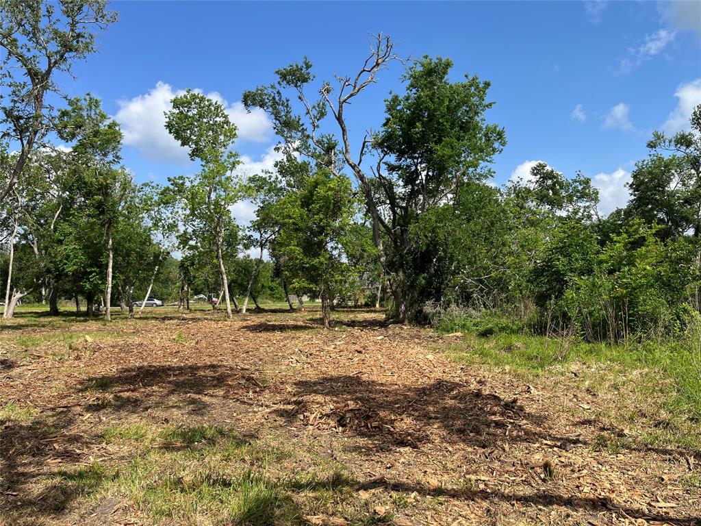 32534 Bayou Bend, Richwood, Texas image 30
