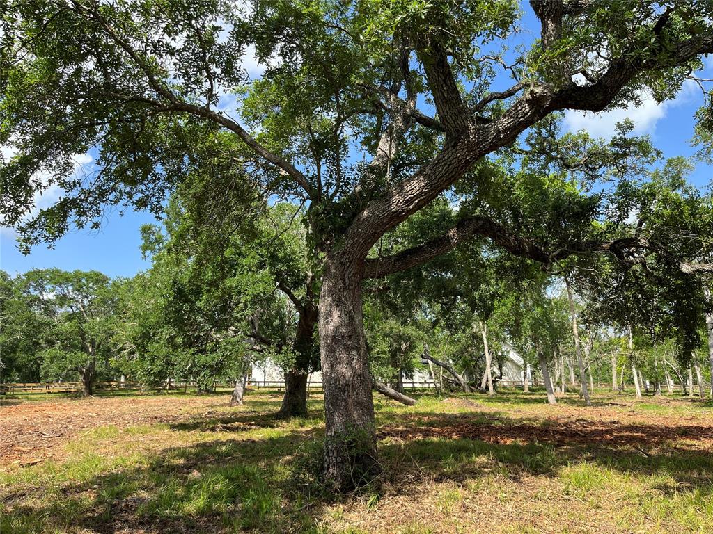 32534 Bayou Bend, Richwood, Texas image 27