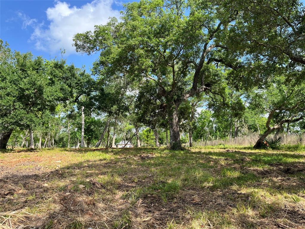 32534 Bayou Bend, Richwood, Texas image 22