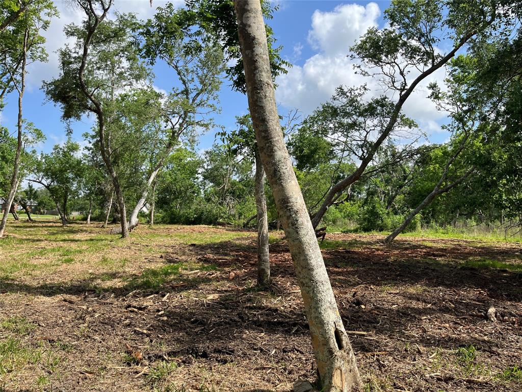 32534 Bayou Bend, Richwood, Texas image 18