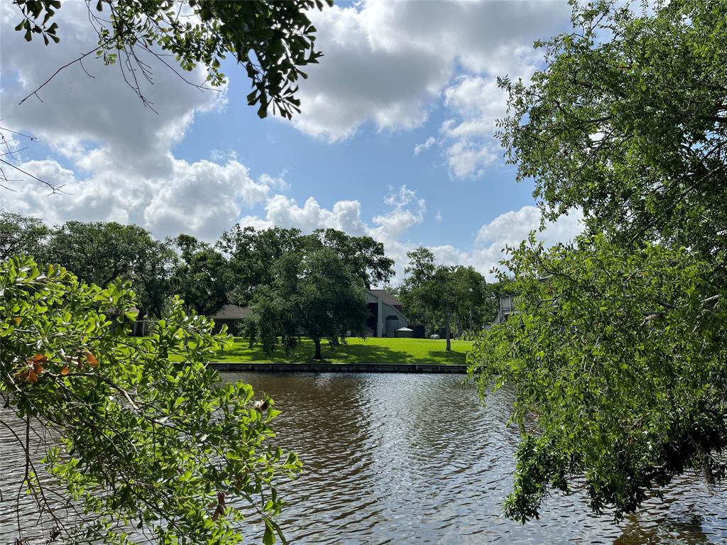 32534 Bayou Bend, Richwood, Texas image 21