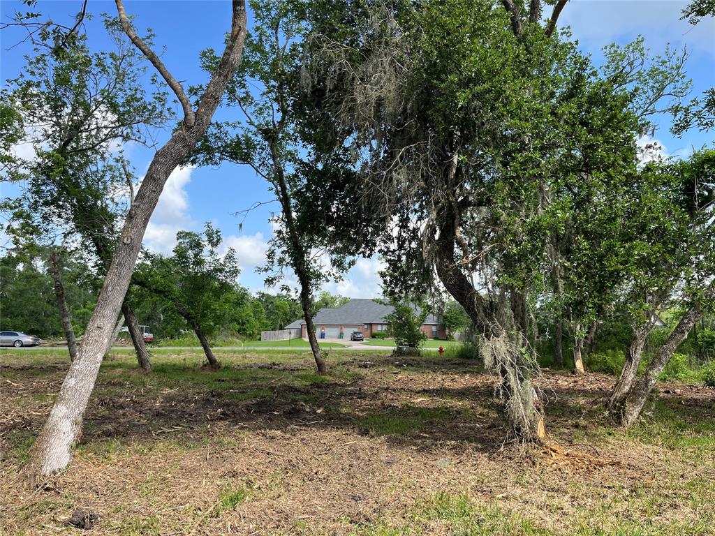 32534 Bayou Bend, Richwood, Texas image 33