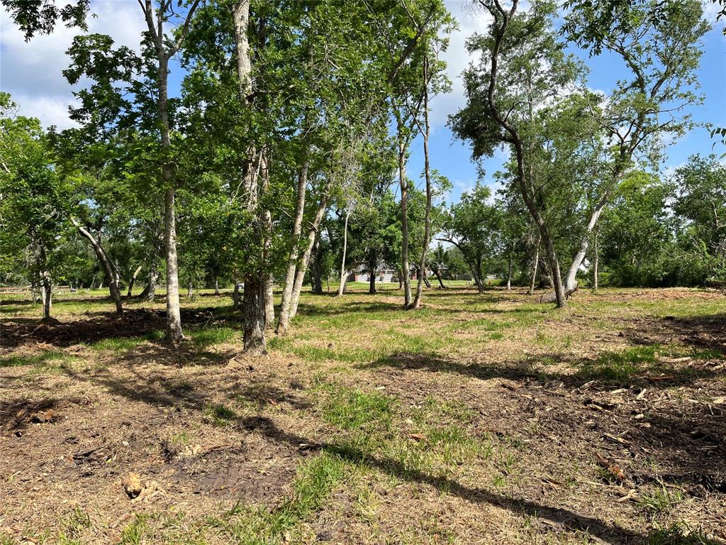32534 Bayou Bend, Richwood, Texas image 17