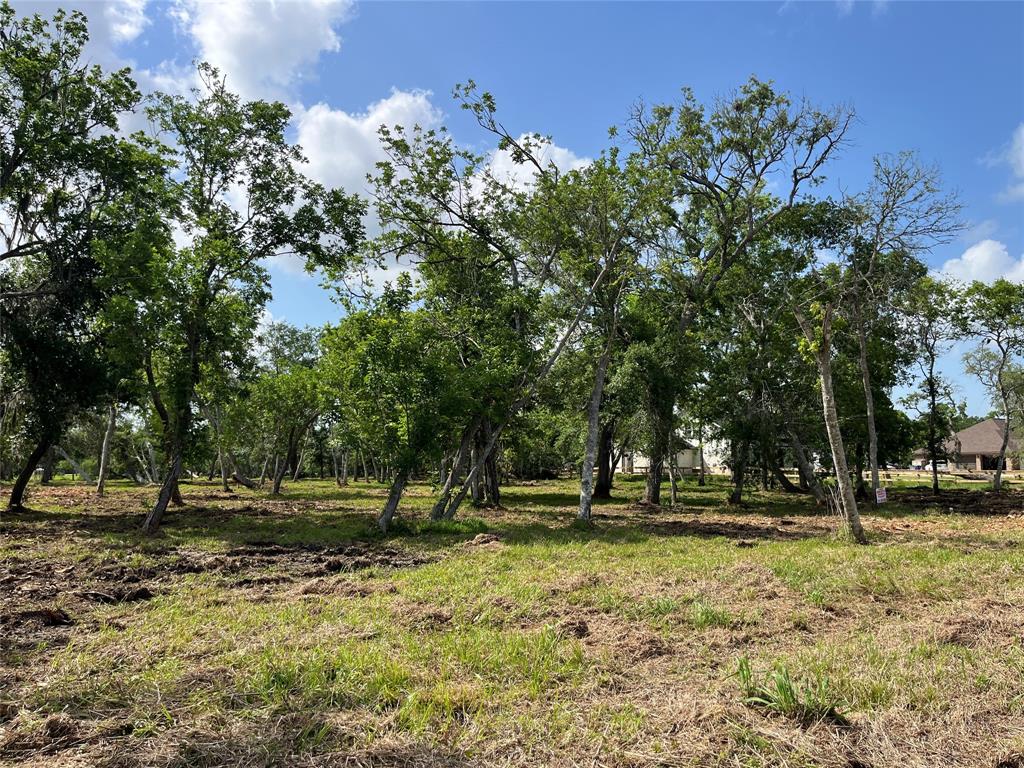32534 Bayou Bend, Richwood, Texas image 37
